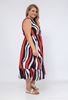 Picture of CURVY GIRL ZEBRA DRESS